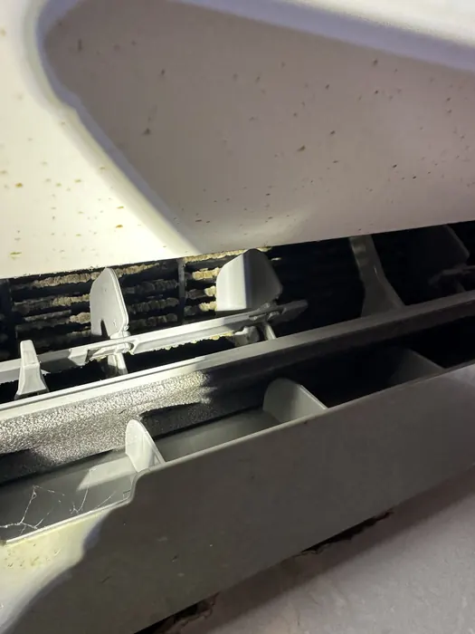 Mold and dirt inside a mini-split blower housing before cleaning